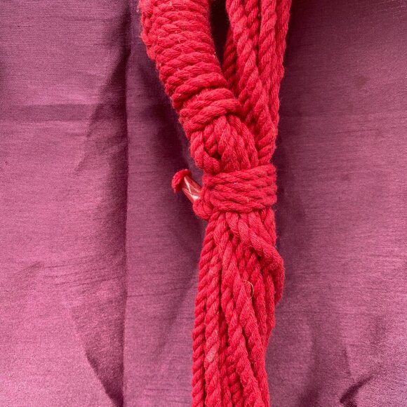 25- (2fer) Illegal Swinging With Deluxe Brazilian - Picture 9 of 17